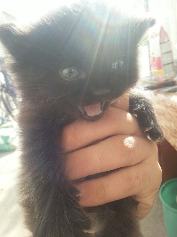 �����, �� ��� ��������� �������, ���� � ���������� ������ ��� �� ������. �������� ����� �����!