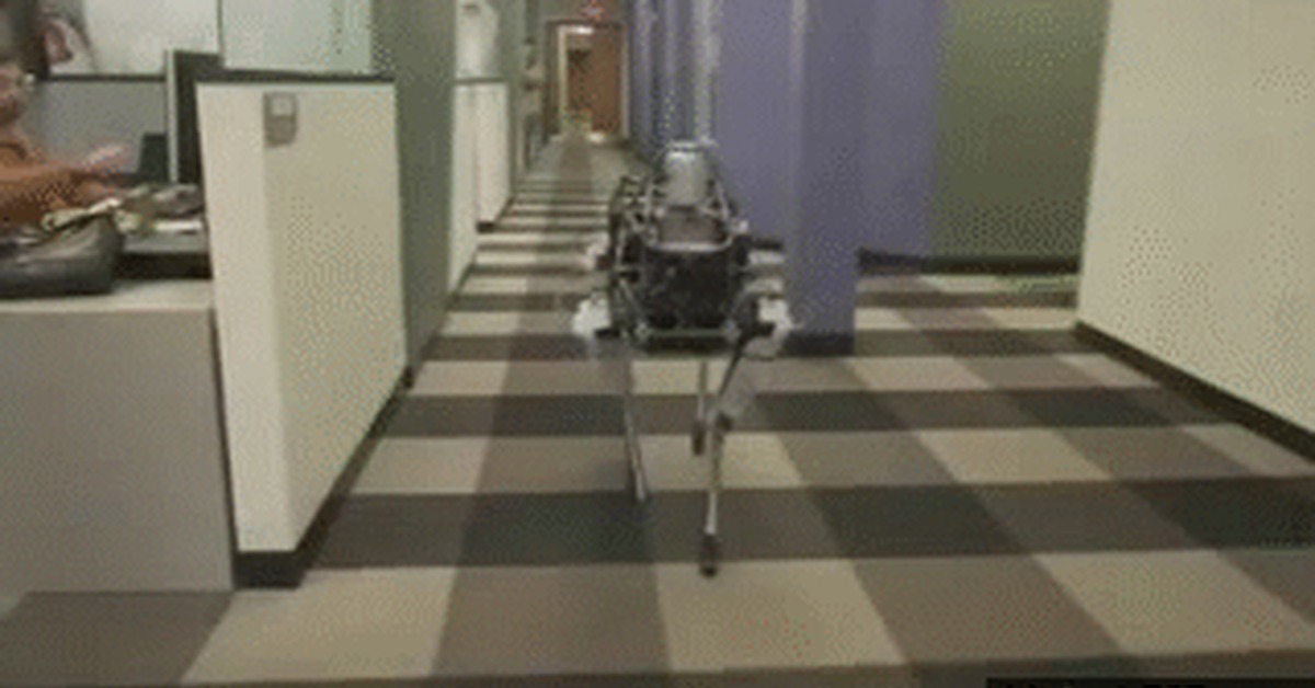 Робот-пес. | Пикабу