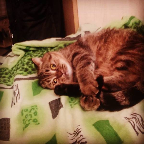 ��, ����� �������� ��� ������...