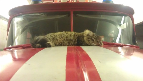 ������� �� ������ ��������� ����.