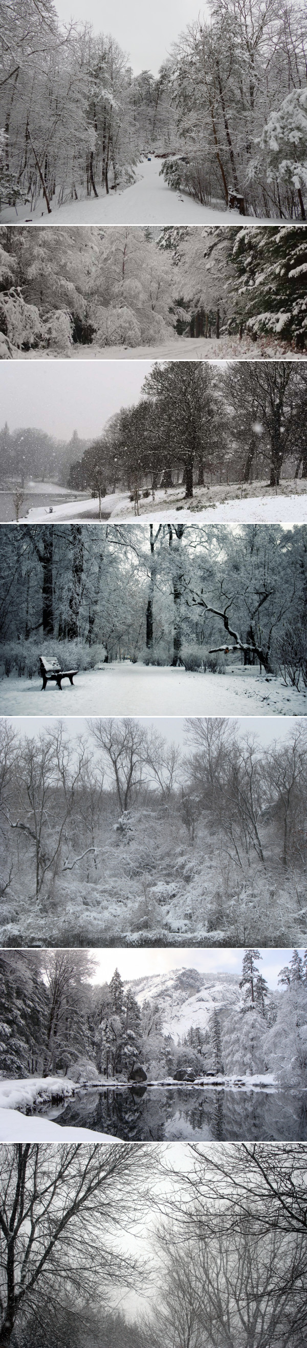 Winter. - Longpost, Pictures and photos, Images