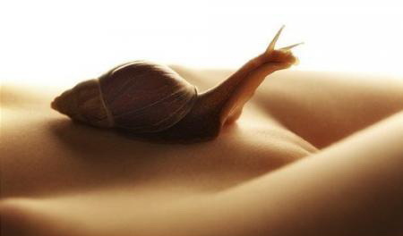 Quietly crawl, snail, along the slope of Fuji, up to the very heights - NSFW, Haiku, Snail