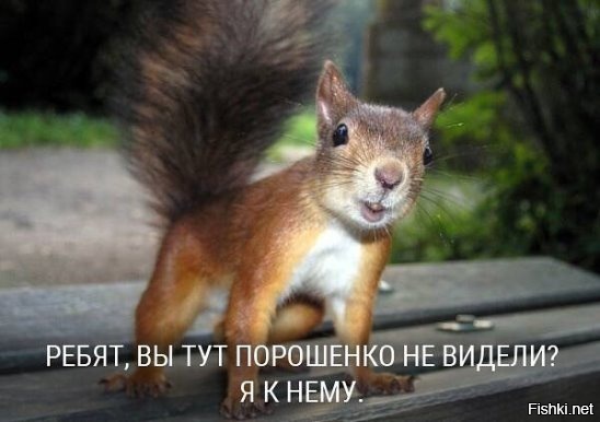 где найти такого петю. Смотреть фото где найти такого петю. Смотреть картинку где найти такого петю. Картинка про где найти такого петю. Фото где найти такого петю