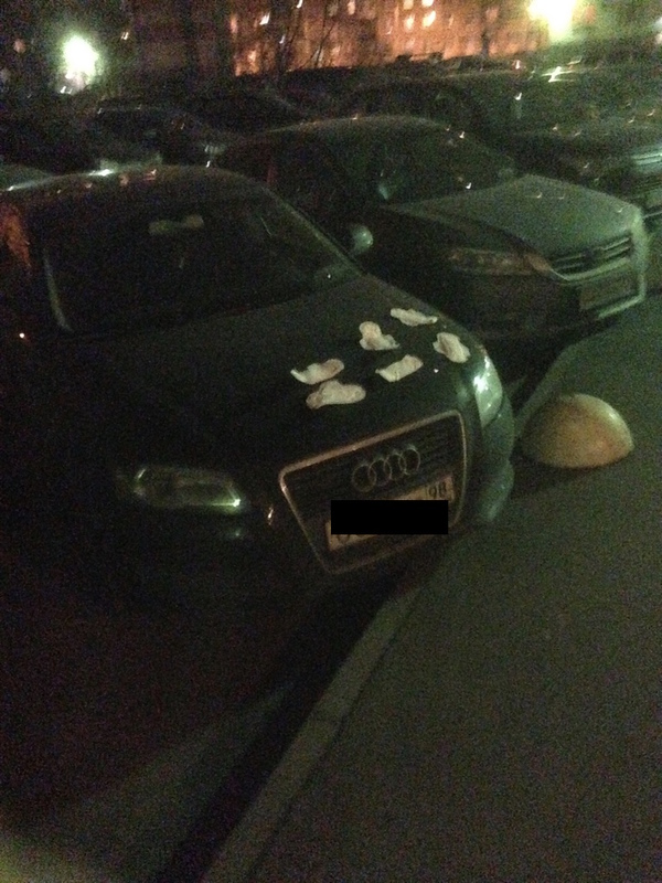 Боюсь узнать, на что слетелись эти голуби.