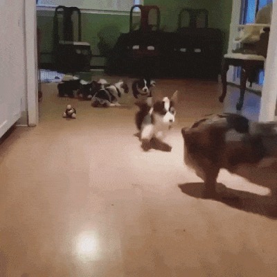   ,    ! , , ,  , ,    , 