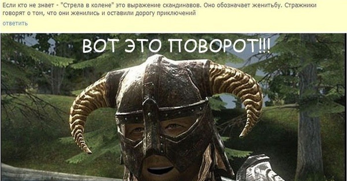 А не вот это вот все. Skyrim стрела в колене. Скайрим мемы стрела в колено. Скайрим стрела в колене. Скайрим колено.