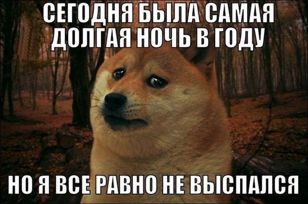 � ����������