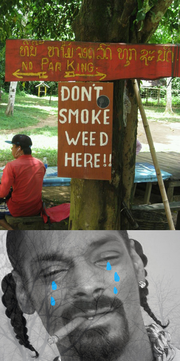    ! :  , , Snoop Dogg, Smoke Weed everyday, 