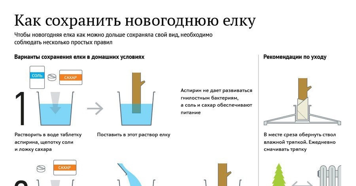 Как дольше сохранить. Елка Живая как сохранить дольше. Как сохранить новогоднюю елку. Как надолго сохранить новогоднюю елку. Раствор для новогодней елки.