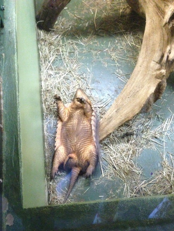   Tallinzoo, , , , , ,  