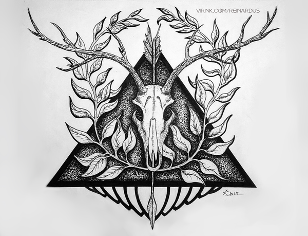 Череп оленя. Рисунок.