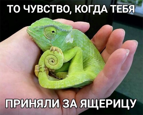 Трудности хамелеонов