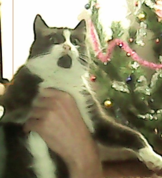 ��� ��� ����� �����������������.