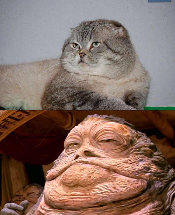 ���� �� ������ ���� ��� �����.