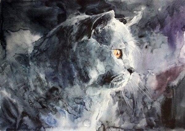 Красивый рисунок