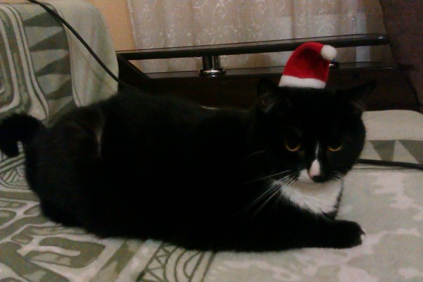 ���������� ����������