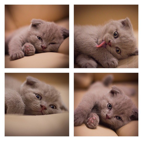 � ������, ��� ����� �������. ������ ������