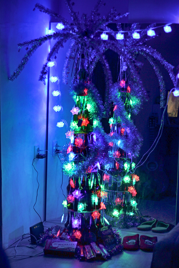 ���� ���������� ������