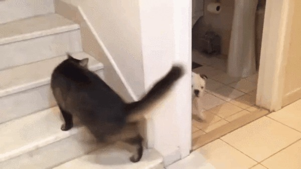 Critical Hit
