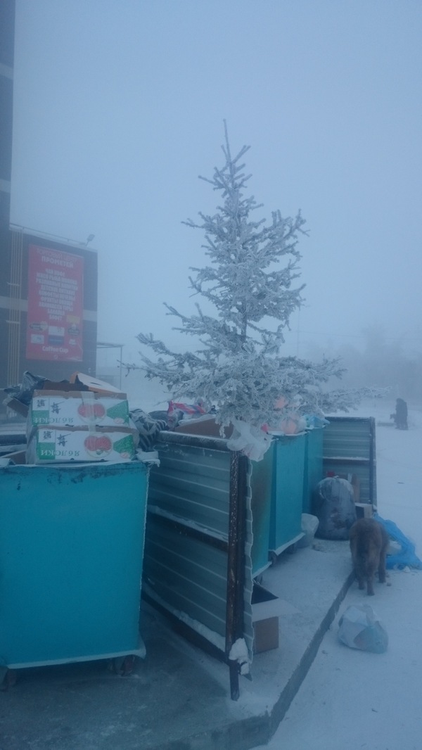 ��� ���� ������, 27.12.15