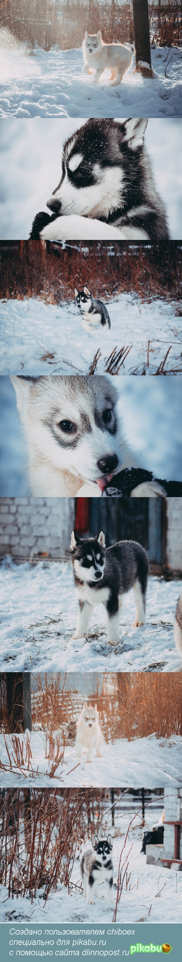     :3 , , 