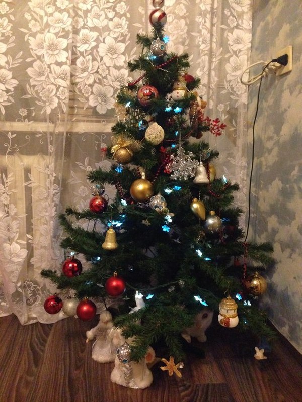 "Найди кота"