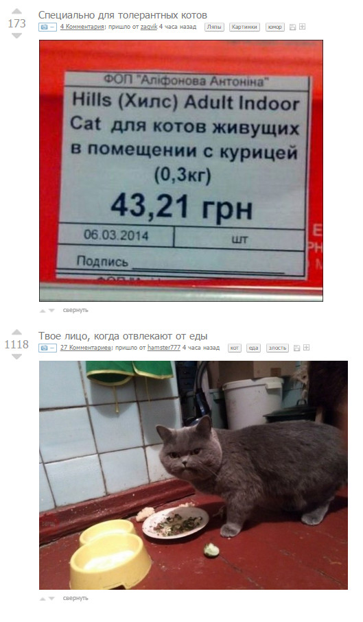 ���� ����, ����� ��������� ������