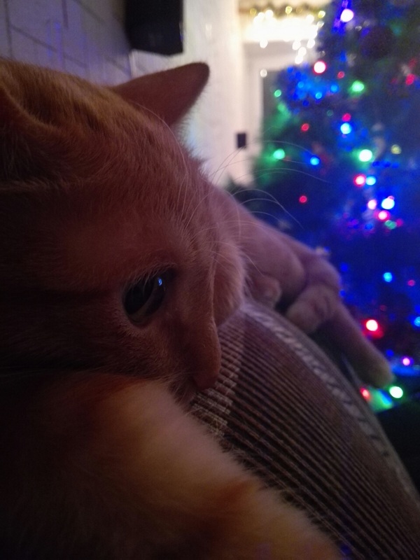 Когда нет новогоднего настроения