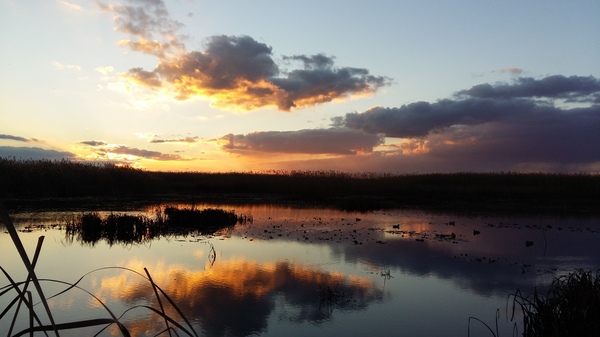 Воспоминания об охоте...