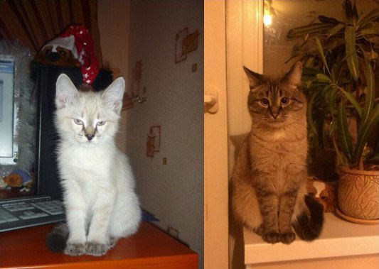 ��������� ���������!