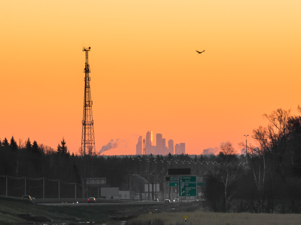 29 �������. �� ������� ����� 40 ����������.