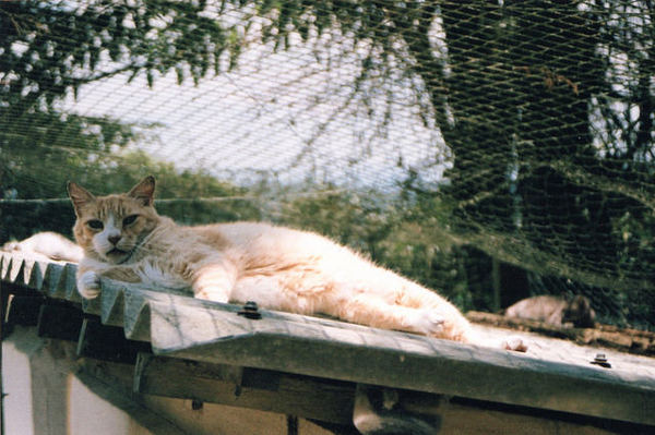 Отвали, дай отдохнуть