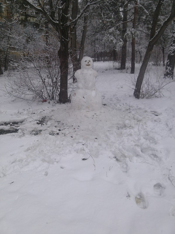 Криповик Гарольда.