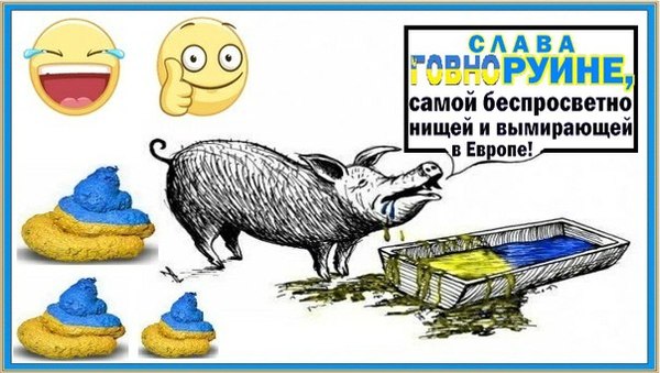 каклошвайн это такое что. Смотреть фото каклошвайн это такое что. Смотреть картинку каклошвайн это такое что. Картинка про каклошвайн это такое что. Фото каклошвайн это такое что
