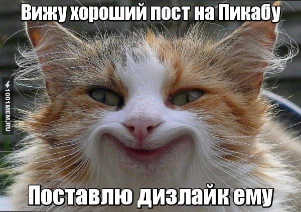 Вижу хороший пост на Пикабу