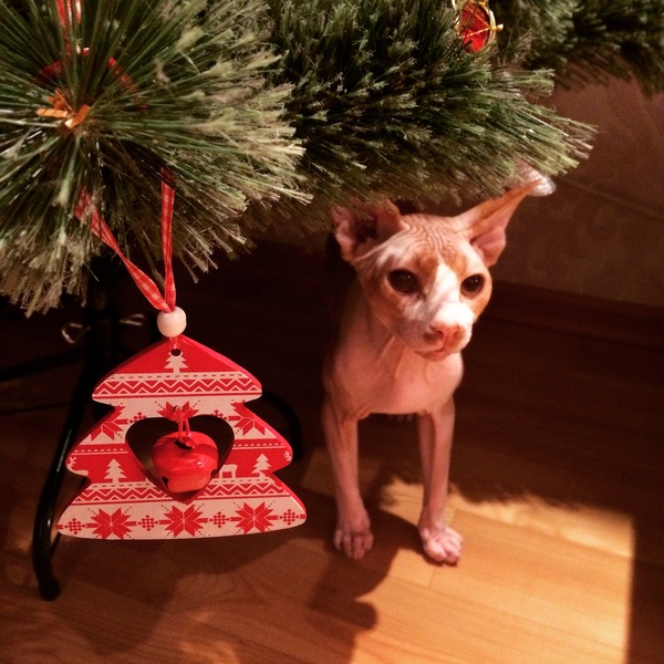 Новогоднего настроения пост :)