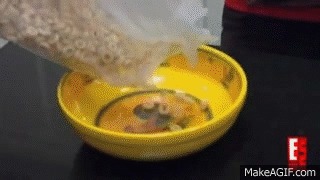 Кушай, кушай, сладенький! ^^