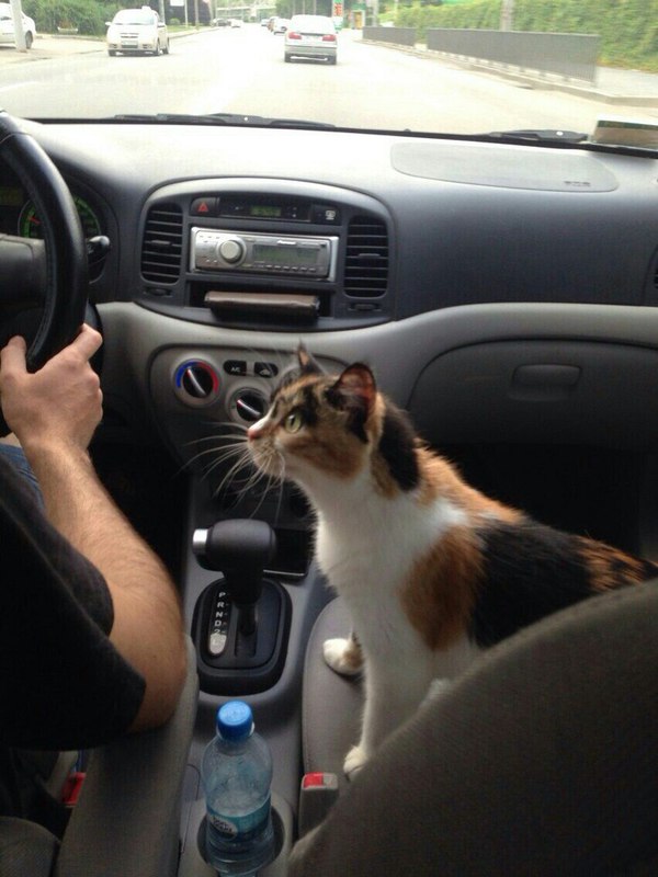 " ,  !"