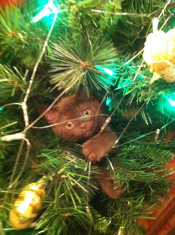 � ����� ����� ������� � ������������ ������ ����, ����� ����������� ���� ���!