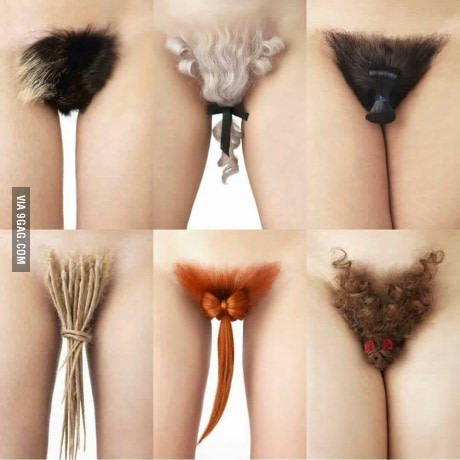 Which one do you choose today? - NSFW, Прическа, Dreadlocks, Difficult choice, 9GAG