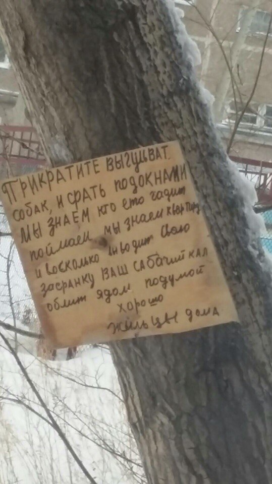 ����� � ������� ���������!