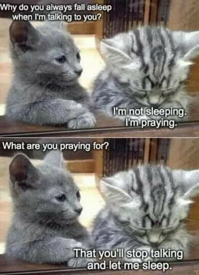 - Why are you sleeping when I'm talking to you? - I'm not sleeping, I'm praying. - What are you praying for? - To shut up and let me sleep! - Images, Humor