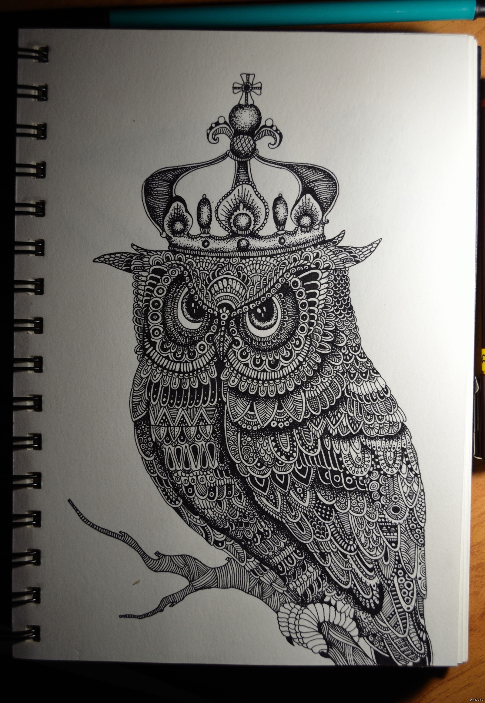 His Majesty - My, Drawing, Owl, Creation