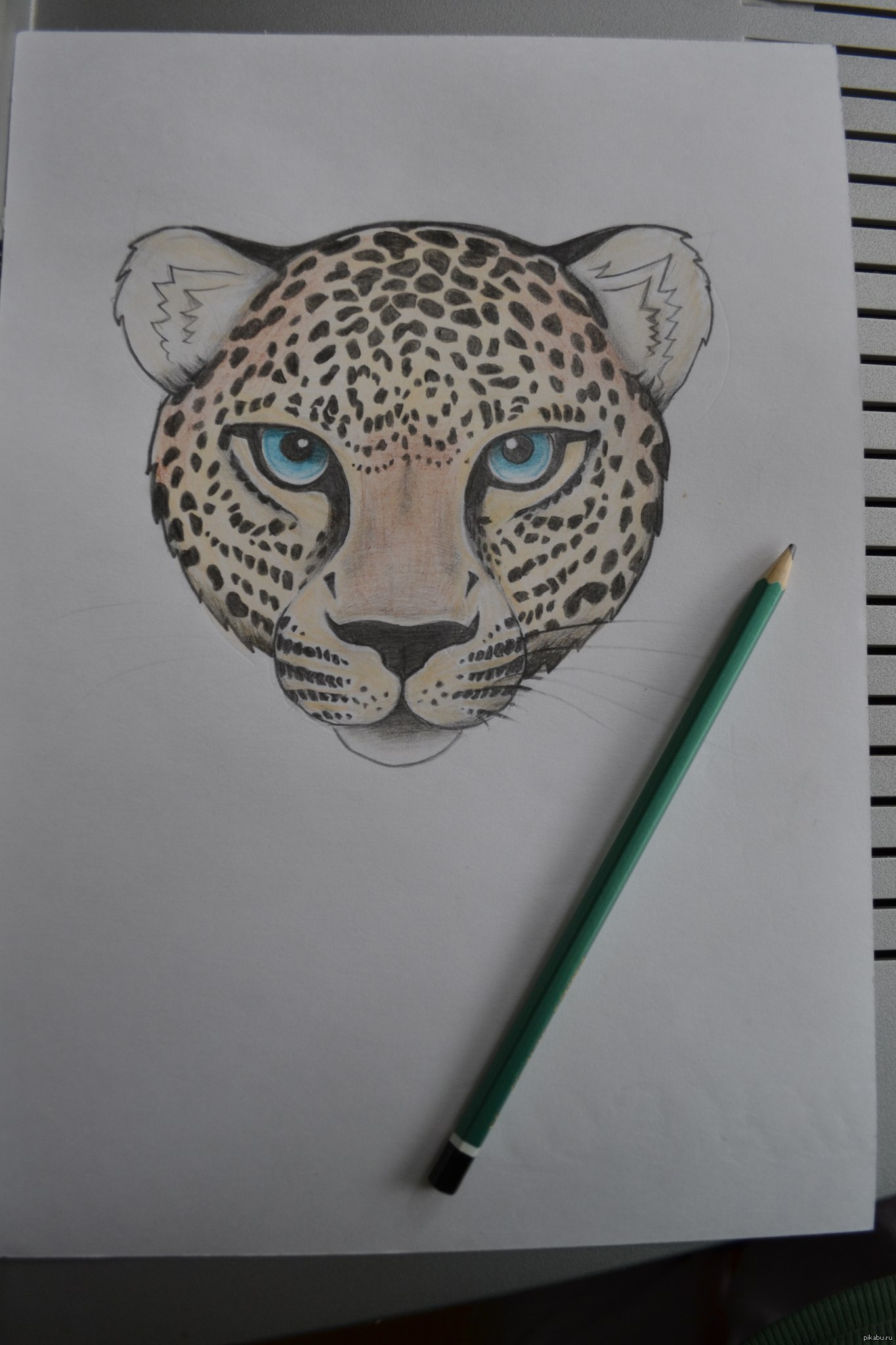 Леопард для срисовки карандашом
