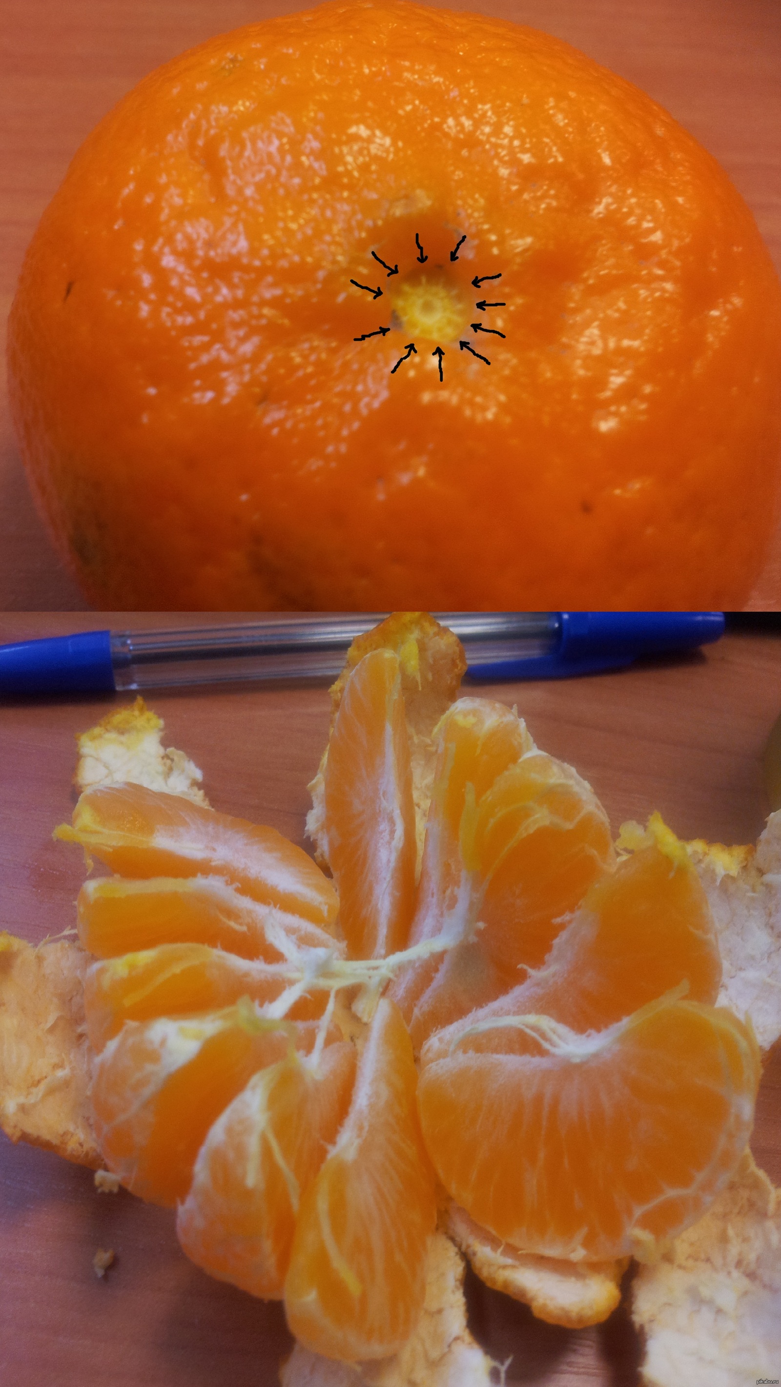 Мандарин точка. Апельсин в апельсине. Долька мандарина. Пятна на апельсине. Плесневый мандарин.