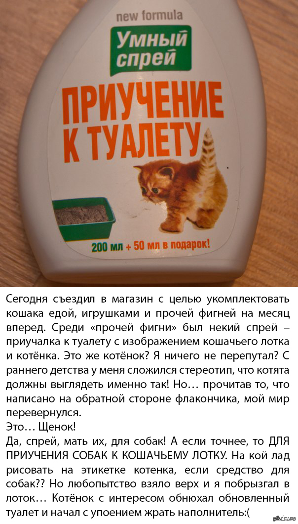 Какой приучить котенка к лотку. Спрей для приучения кота к лотку. Наполнитель для котят для приучения к туалету. Умный спрей для приучения котенка к лотку. Средство для котов чтобы приучить к лотку.