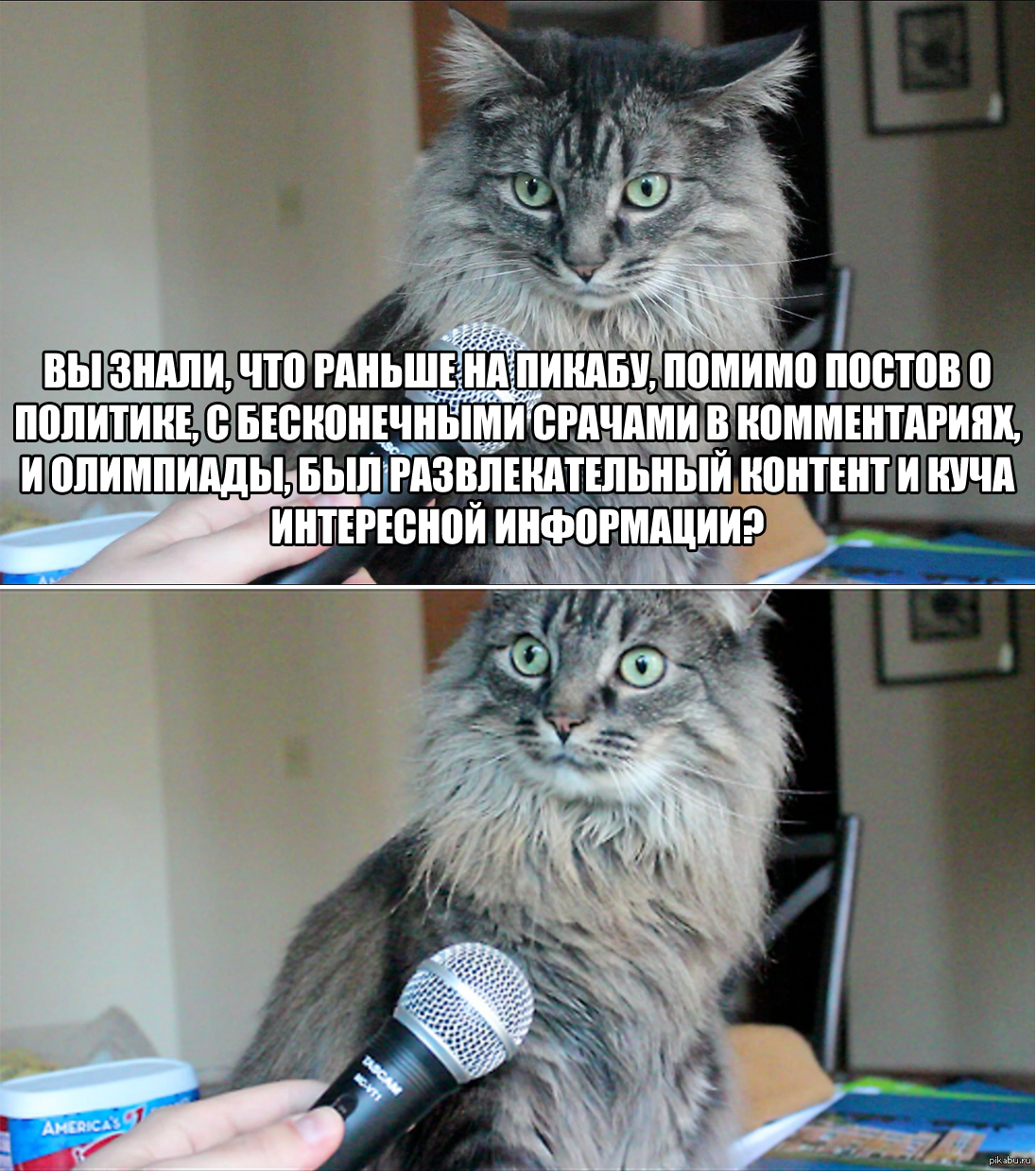 Кот с микрофоном Мем