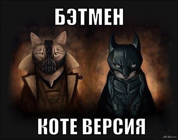 CatBatman - Batman, cat