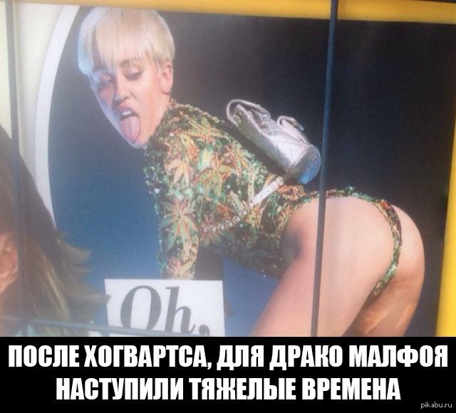 Днем, гарри поттер и малфой приколы картинки