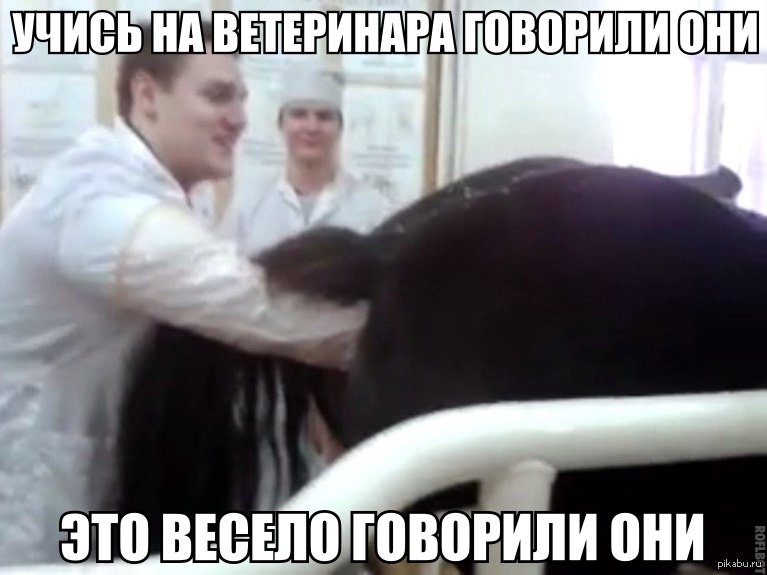 Владимир шишмарев ветеринар фото
